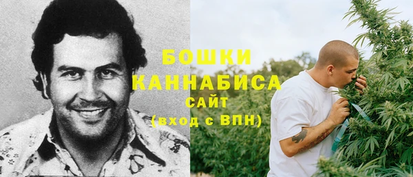 шишки Елабуга