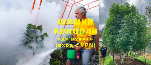 шишки Елабуга
